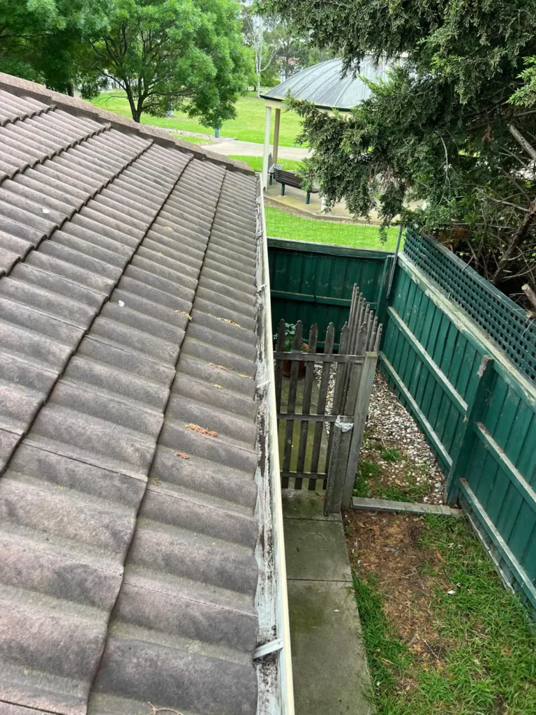YSM Gutter Cleaning Image