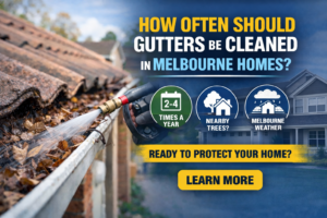 gutter cleaning